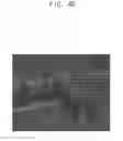 Fig. 14 - DISPLAY DEVICE, METHOD OF MANUFACTURING THE SAME, AND COMPOSITION FOR USE IN MANUFACTURING THE SAME