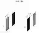 Fig. 09 - High-resolution field sequential autostereoscopic display