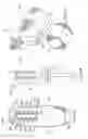 Fig. 37 - Lighting system and method