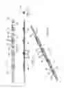 Fig. 07 - Bent perimeter lighting and method for fabricating