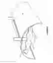 Fig. 05 - Method and apparatus for lighting involving reflectors
