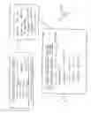 Fig. 02 - Motion sensor-triggered personalized message celebration device