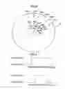 Fig. 05 - Optical Recording Apparatus With Drawing Capability of Visible Image on Disk Face