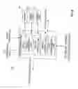 Fig. 09 - Visual target presenting optical device