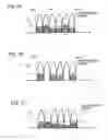 Fig. 08 - Orthogonal frequency multi-carrier transmission device and transmission method