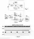 Fig. 02 - Transmission of media content stream