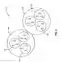 Fig. 03 - Method of cell-switching in a mobile communication network