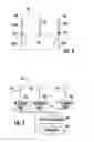 Fig. 05 - Undulating transmit patterns for multiple simultaneous transmitters to support signal separation at a receiver