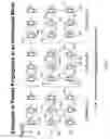 Fig. 09 - Interleaved and directional wireless mesh network