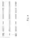 Fig. 05 - Information transparent adaptation function for packet based network connections