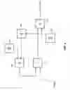 Fig. 05 - Transmit equalizer compensation for probe receivers
