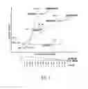 Fig. 02 - Bone mineral density assessment using mammography system