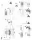 Fig. 02 - Personalized user specific grammars