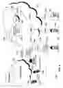 Fig. 09 - Celler identification of recipient that answered a simultaneous or routed communication
