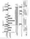 Fig. 13 - Apparatus and method for determining part of elicitation from spoken dialogue data