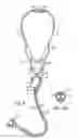 Fig. 10 - Electronic stethoscope
