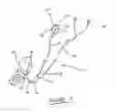 Fig. 03 - Noise cancelling cable assembly