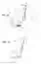 Fig. 19 - Image Processing Using Rear View Mirror-Mounted Imaging Device