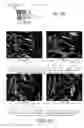 Fig. 33 - Image Processing Using Rear View Mirror-Mounted Imaging Device