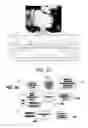 Fig. 35 - Image Processing Using Rear View Mirror-Mounted Imaging Device
