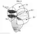 Fig. 06 - Apparatus and method for editing optimized color preference