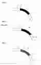 Fig. 02 - Curved optical waveguide and optical device