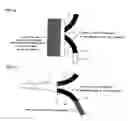 Fig. 07 - Curved optical waveguide and optical device