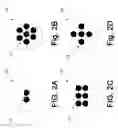Fig. 03 - System and method for fiber optic bundle-based illumination for imaging system