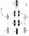 Fig. 02 - Quasi-waveguide printed circuit board structure