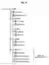 Fig. 08 - Recording medium having a data structure for backing up management files and recording and reproducing methods and apparatuses