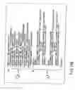 Fig. 30 - INFORMATION STORAGE MEDIUM, INFORMATION REPRODUCING APPARATUS, AND INFORMATION REPRODUCING METHOD