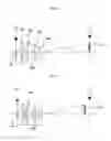 Fig. 09 - Image photographing apparatus
