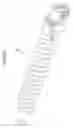 Fig. 48 - Toner container and image forming apparatus