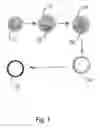 Fig. 02 - High strength polycrystalline ceramic spheres