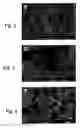 Fig. 03 - High strength polycrystalline ceramic spheres