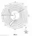 Fig. 05 - Cross-flow wind turbine