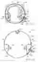 Fig. 13 - RECIPROCATING PISTON COMPRESSOR HAVING IMPROVED NOISE ATTENUATION