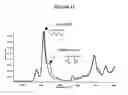 Fig. 14 - Supports for assaying analytes and methods of making and using thereof