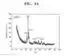 Fig. 07 - Method for manufacturing zinc oxide nanowires and device having the same