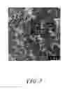 Fig. 04 - Process for preparing a nanosized zeolitic material