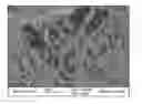 Fig. 01 - Perfluorocyclobutane crosslinked hydrogels