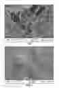 Fig. 02 - Perfluorocyclobutane crosslinked hydrogels