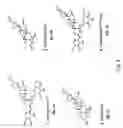 Fig. 02 - Compositions and methods for skin conditioning