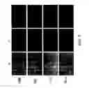 Fig. 04 - Peptide-tagged proteins and methods of making and using thereof