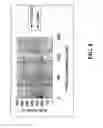 Fig. 09 - Peptide-tagged proteins and methods of making and using thereof