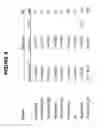 Fig. 12 - Methods and compositions using Substance P to promote wound healing
