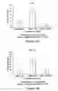 Fig. 06 - Use of eIF-5A to kill multiple myeloma cells