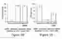 Fig. 09 - Use of eIF-5A to kill multiple myeloma cells