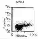 Fig. 01 - Use of CD28-specific monoclonal antibodies for producing a pharmaceutical composition for treating virus infections