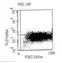 Fig. 04 - Use of CD28-specific monoclonal antibodies for producing a pharmaceutical composition for treating virus infections